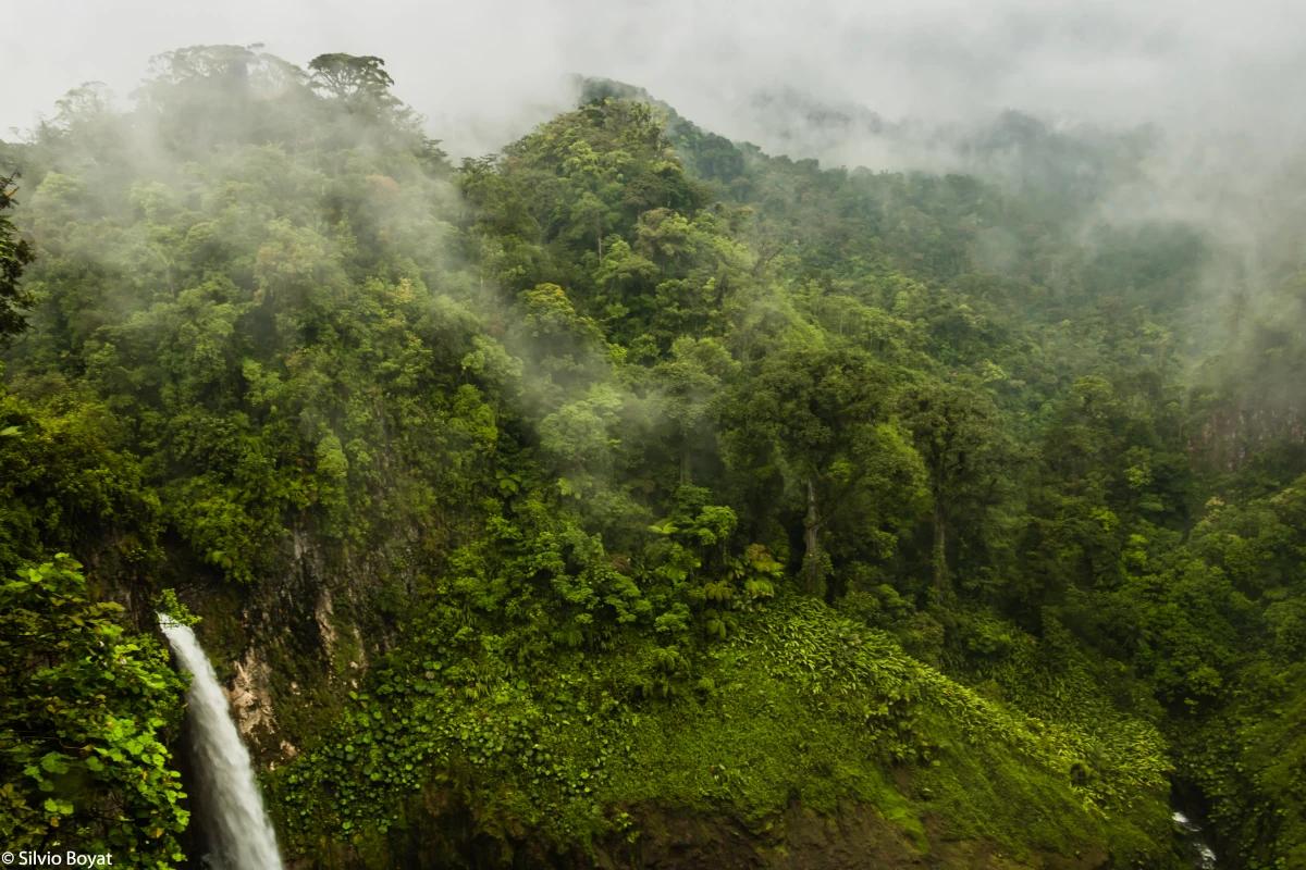 Forêt nuageuse et cascade naturelle du Parc National Juan Castro Blanco