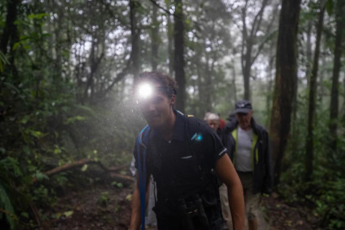 Lucas Boyat guidant à la lampe torche des voyageurs dans la forêt nuageuse de Monteverde