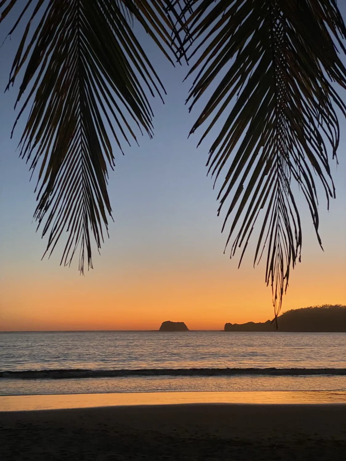 Coucher de soleil sur le Pacifique avec des feuilles de palmiers