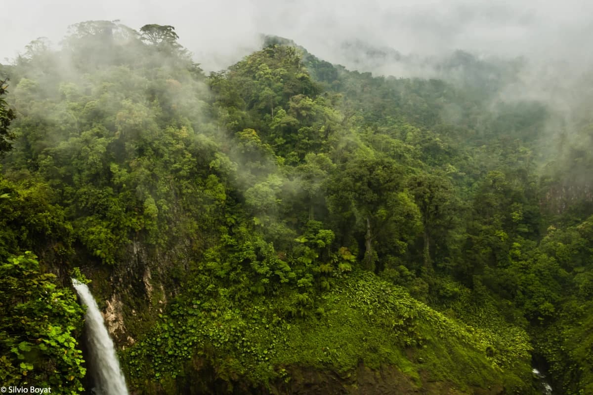 Forêt nuageuse et cascade naturelle du Parc National Juan Castro Blanco